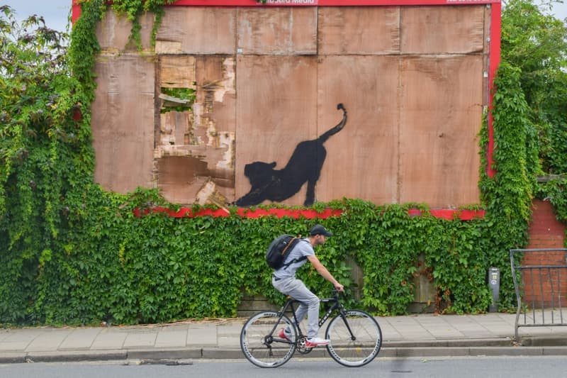 banksy london zoo murals street art graffiti vandalism