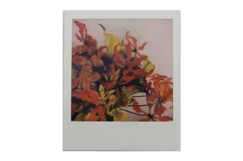 Nobuyoshi Araki 'Paradise' Pop-Up Exhibition Artelli Gallery Hong Kong