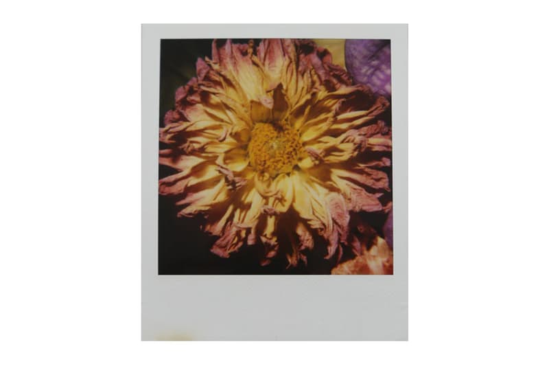 Nobuyoshi Araki 'Paradise' Pop-Up Exhibition Artelli Gallery Hong Kong