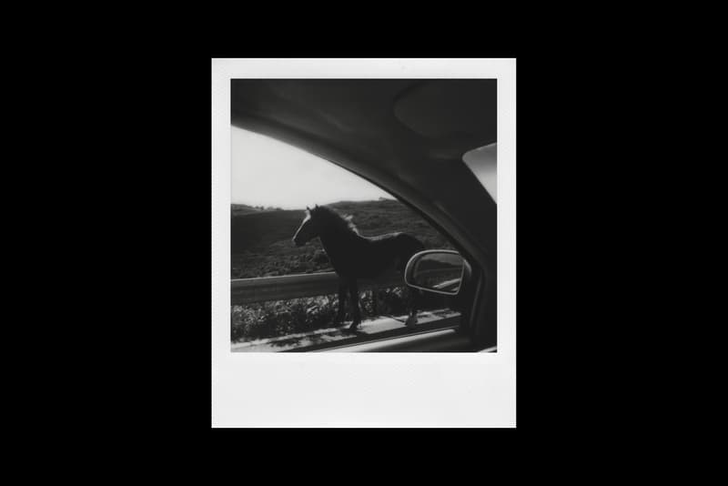 polaroid magnum photos winners paris photo fair showcase