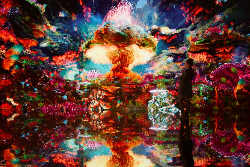 Refik Anadol Large Nature Model AI Generative Model