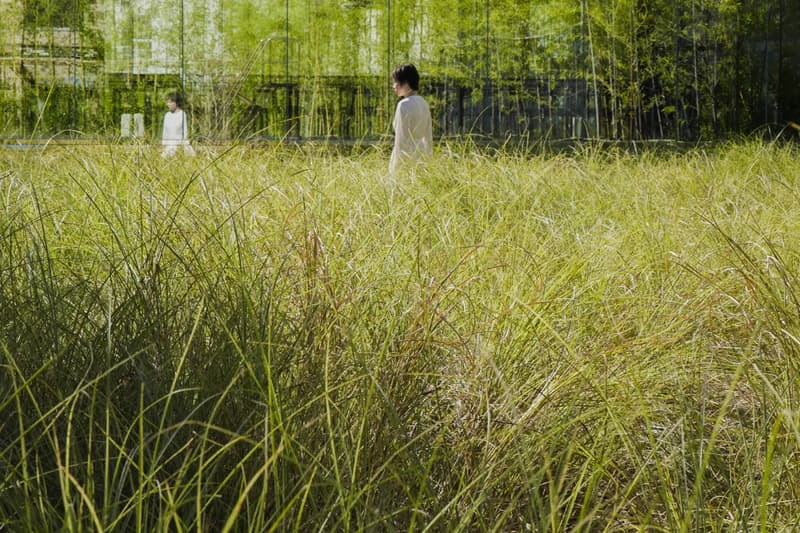 teamLab 'Field of Wind, Rain and Sun’ Exhibition Higashiosaka Info “Enso of the Sun" 'A Cafe in the Field of the Can Can Factory'