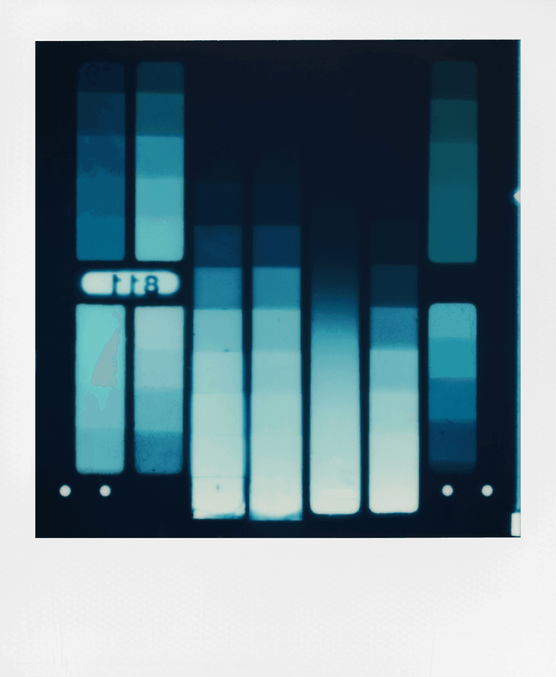 through the lens polaroid reclaimed blue 600 film Brian Slaghuis